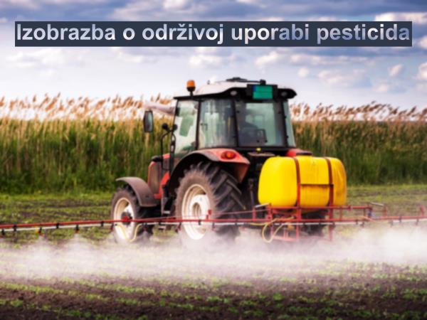 prazna